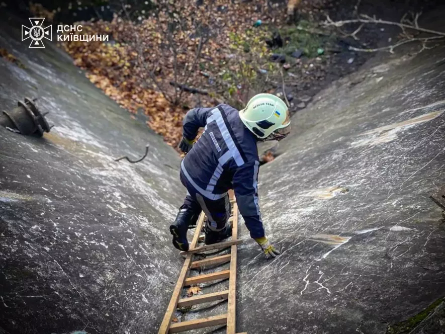 Білоцерківські рятувальники витягли собак із водяного відстійника в парку Олександрія
