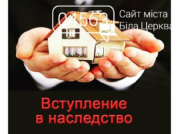 Адвокат алина киев
