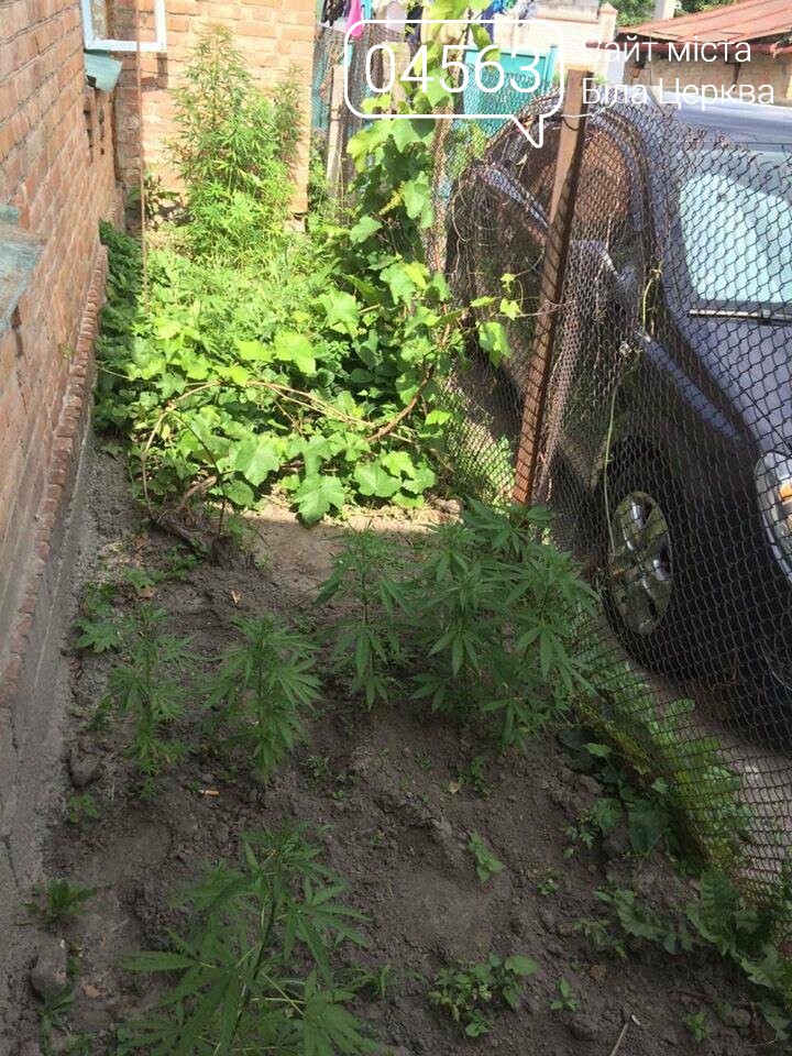 У Білій Церкві правоохоронці прикрили нарколабораторію У Білій Церкві правоохоронці прикрили нарколабораторію