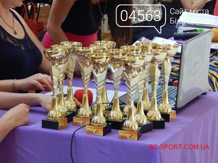 Чемпіонат ДЮСШ №1 та Кубок “Атени” 2017 зі спортивної гімнастики серед дівчат Чемпіонат ДЮСШ №1 та Кубок “Атени” 2017 зі спортивної гімнастики серед дівчат