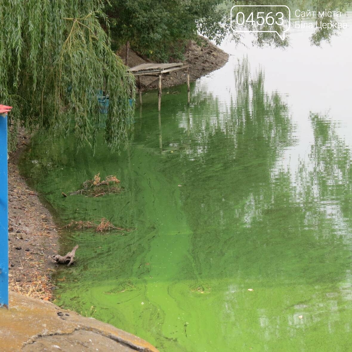 Чому вода з під крану у Білій Церкві має «річковий» запах Чому вода з під крану у Білій Церкві має «річковий» запах