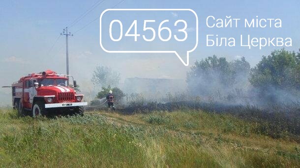 Поле Білоцерківськікого аграрного універсітету вже четвертий раз поспіль підпалюють невідомі Поле Білоцерківськікого аграрного універсітету вже четвертий раз поспіль підпалюють невідомі