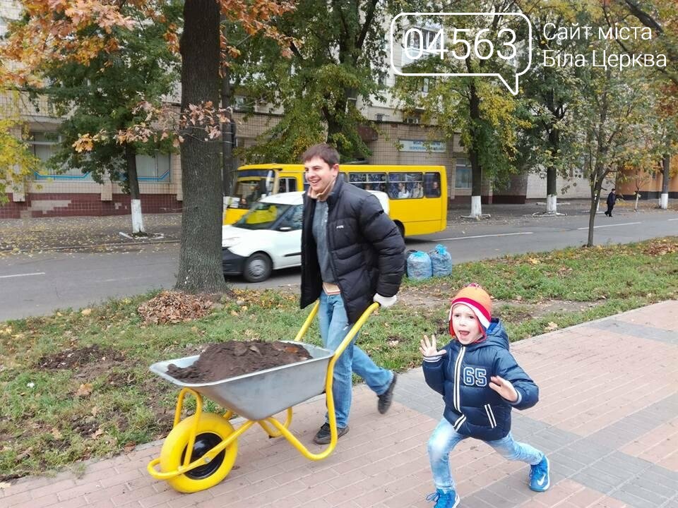 Осіння толока 2017 Біла Церква Осіння толока 2017 Біла Церква