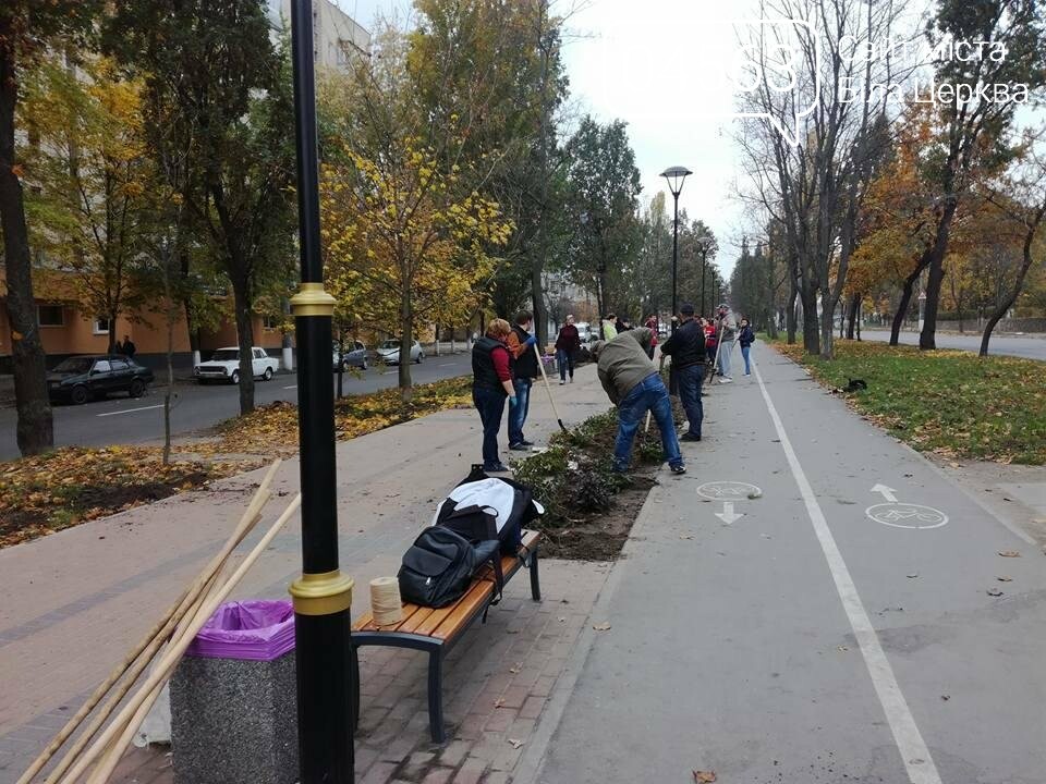 Осіння толока 2017 Біла Церква Осіння толока 2017 Біла Церква
