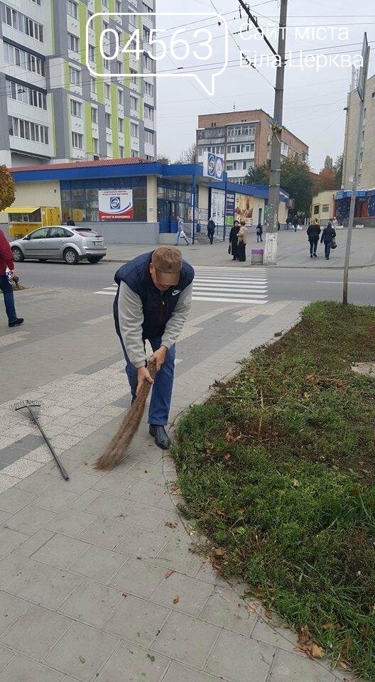 Осіння толока 2017 Біла Церква Осіння толока 2017 Біла Церква