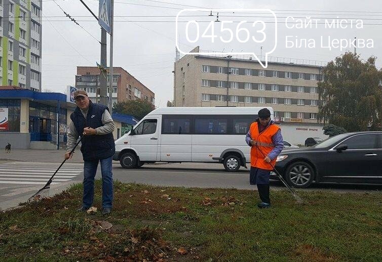 Осіння толока 2017 Біла Церква Осіння толока 2017 Біла Церква