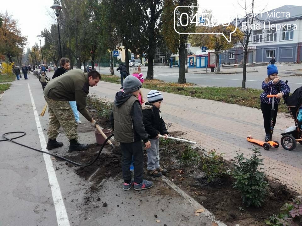 Осіння толока 2017 Біла Церква Осіння толока 2017 Біла Церква