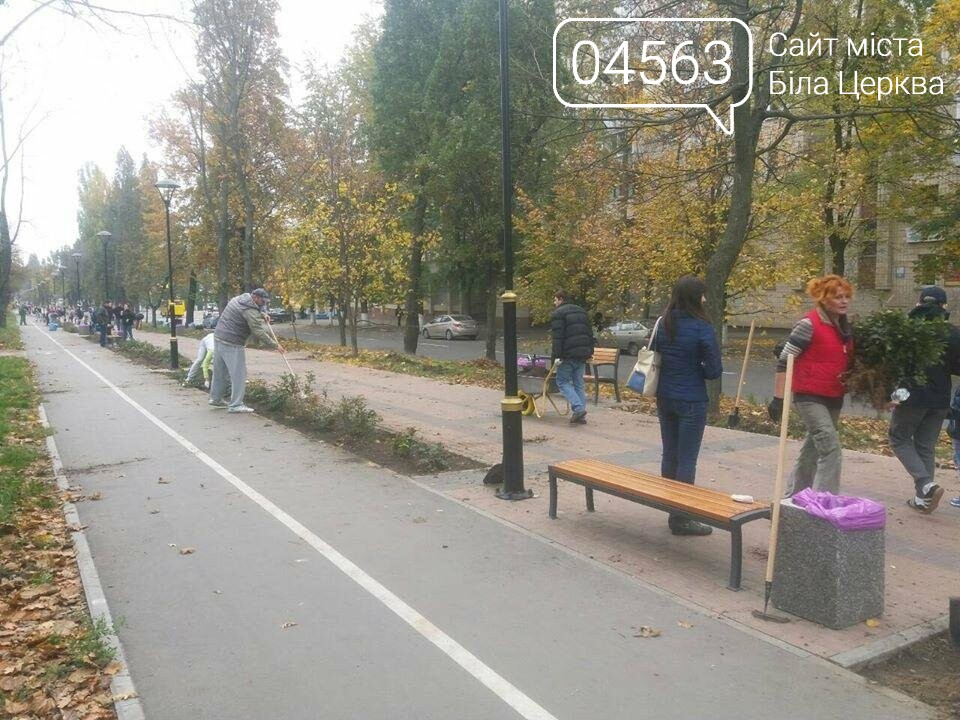 Осіння толока 2017 Біла Церква Осіння толока 2017 Біла Церква