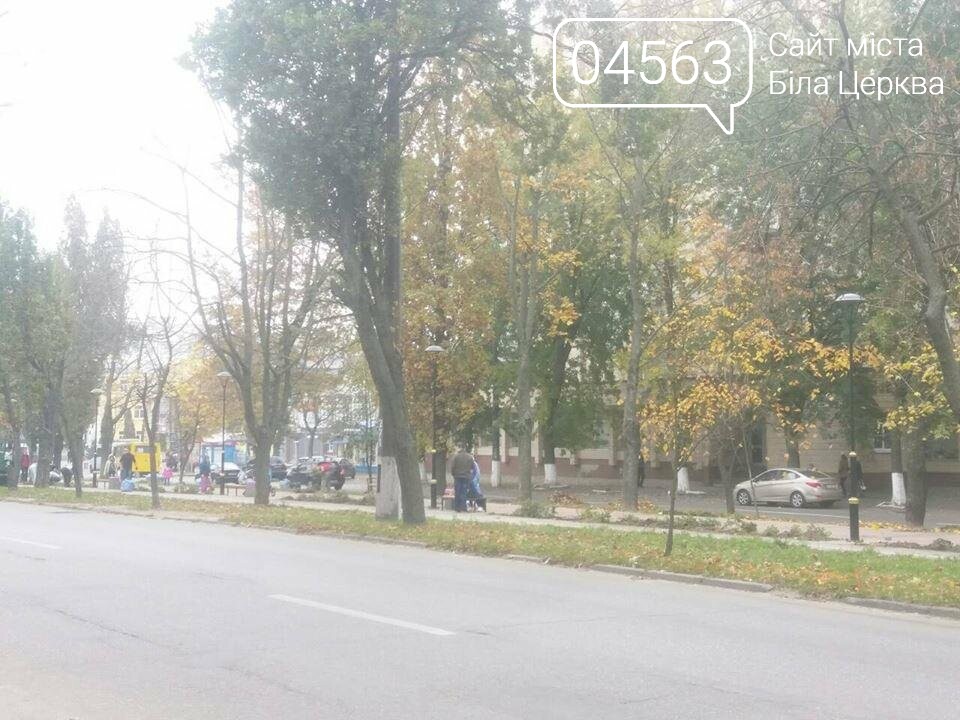 Осіння толока 2017 Біла Церква Осіння толока 2017 Біла Церква