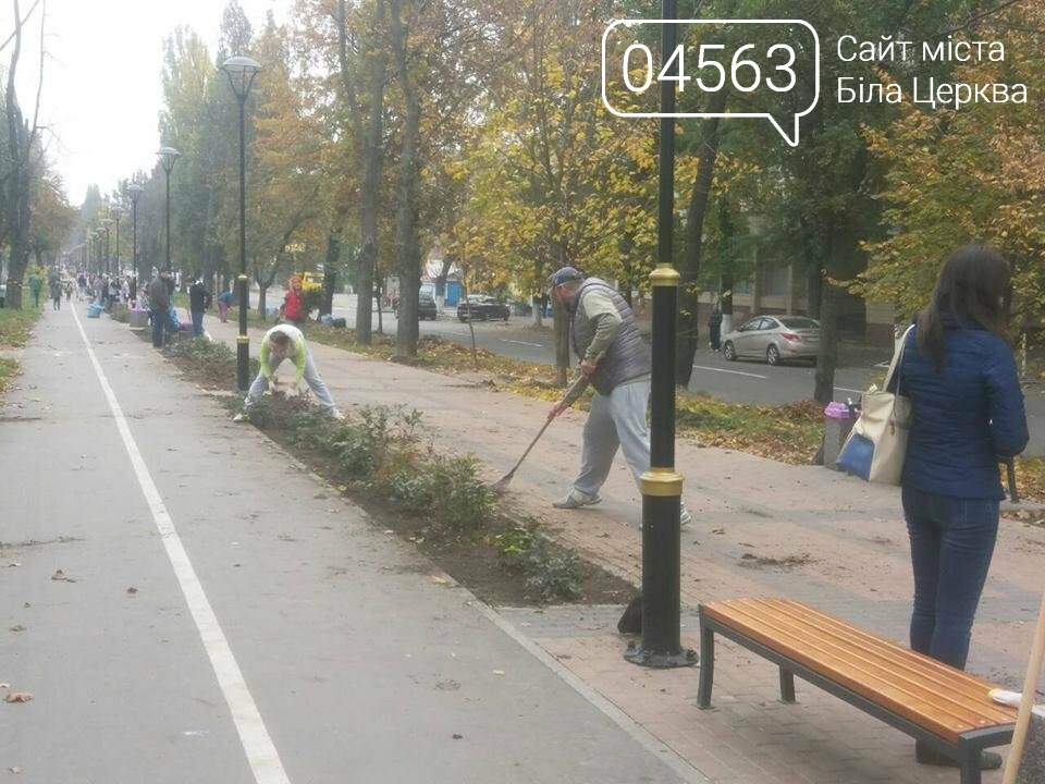 Осіння толока 2017 Біла Церква Осіння толока 2017 Біла Церква
