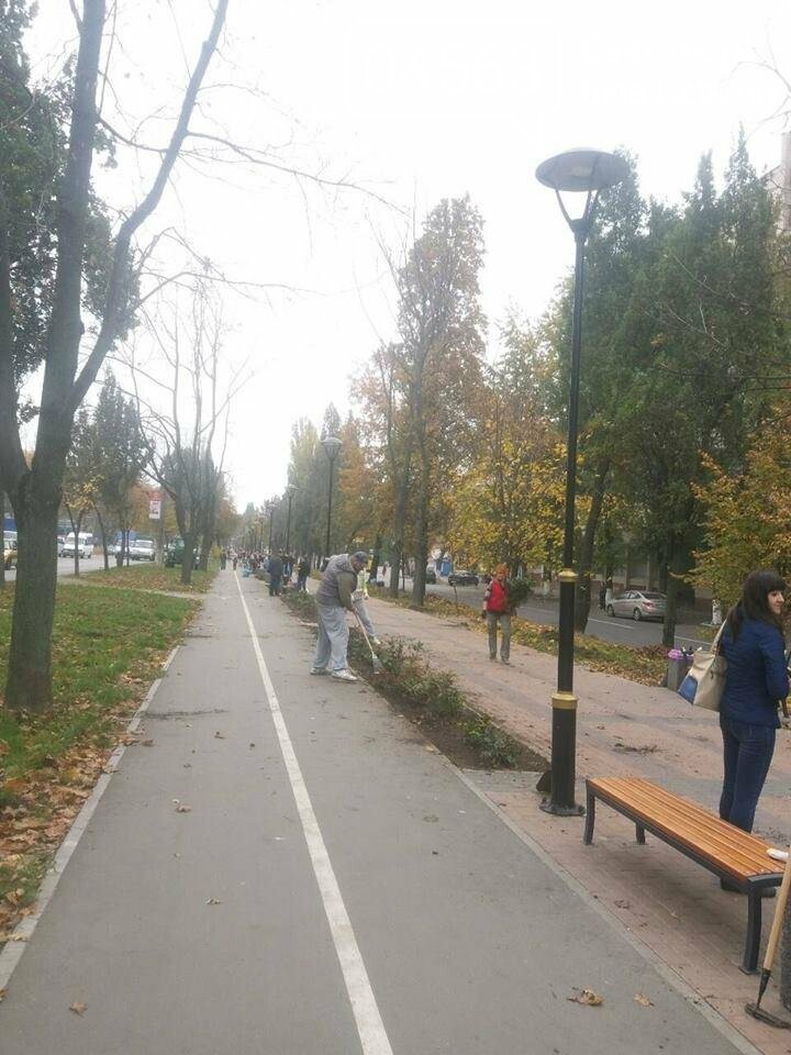Осіння толока 2017 Біла Церква Осіння толока 2017 Біла Церква