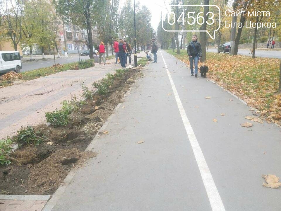 Осіння толока 2017 Біла Церква Осіння толока 2017 Біла Церква