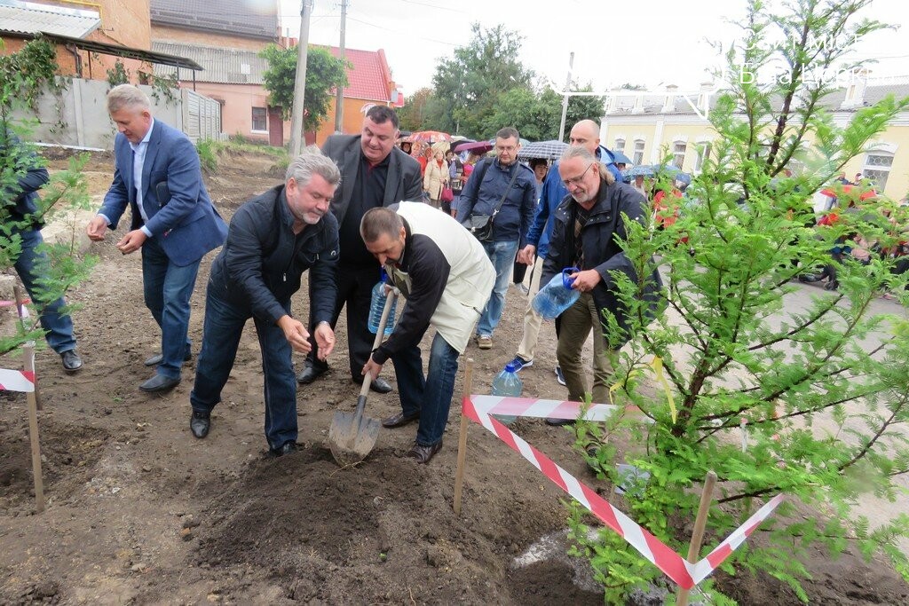На місці майбутнього пам’ятного знаку жертвам Голокосту вис..., фото-5 На місці майбутнього пам’ятного знаку жертвам Голокосту висадили метасеквої, фото-5