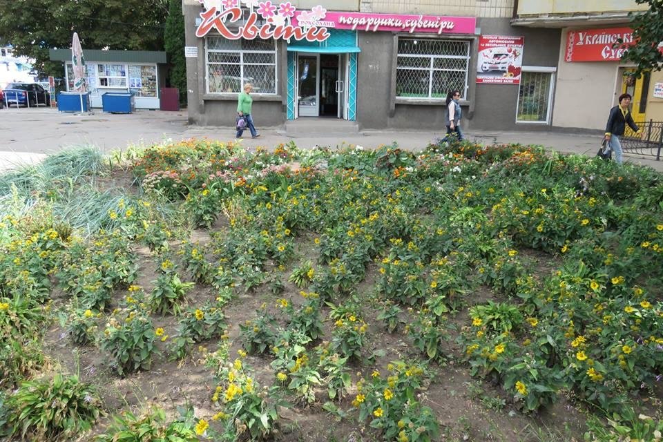 У Білій Церкві визначили кращі клумби міста У Білій Церкві визначили кращі клумби міста