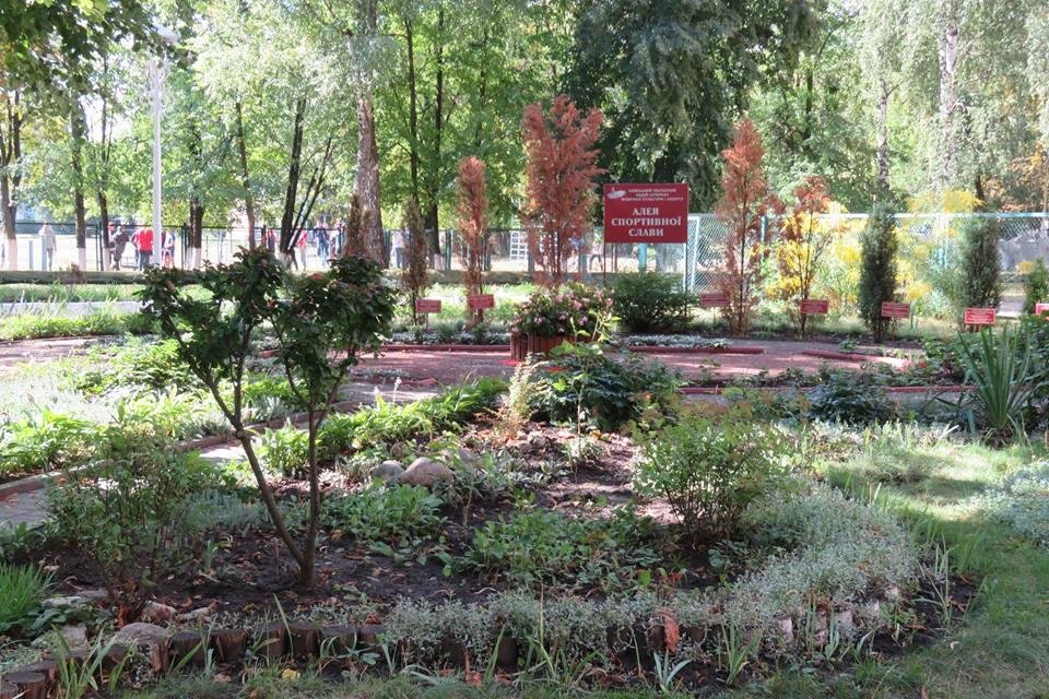 У Білій Церкві визначили кращі клумби міста У Білій Церкві визначили кращі клумби міста