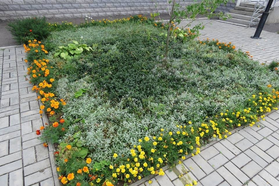 У Білій Церкві визначили кращі клумби міста У Білій Церкві визначили кращі клумби міста