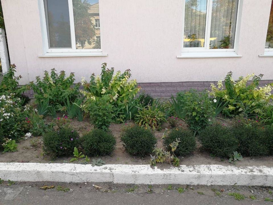 У Білій Церкві визначили кращі клумби міста У Білій Церкві визначили кращі клумби міста