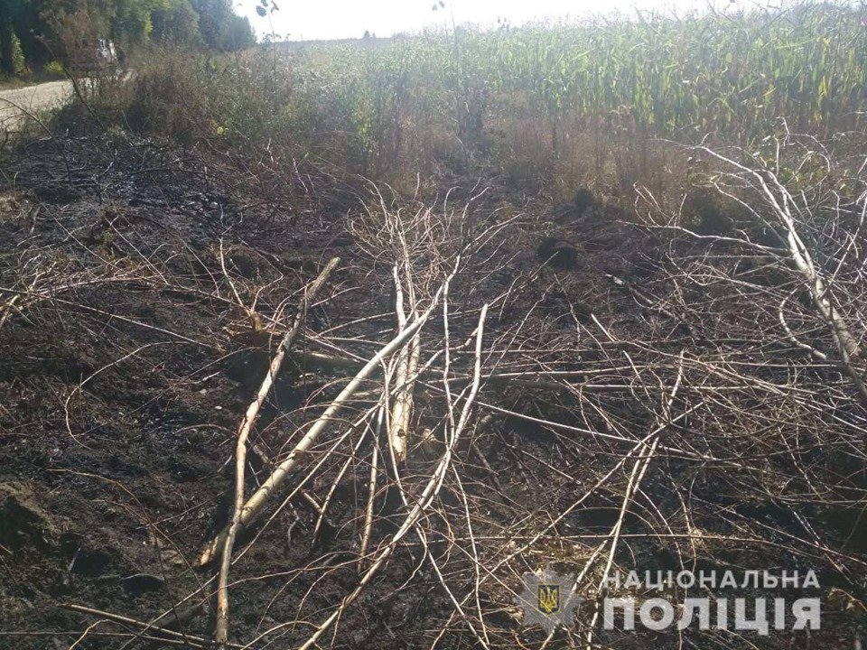 На Білоцерківщині через підпал трави загинула людина , фото-1 На Білоцерківщині через підпал трави загинула людина , фото-1