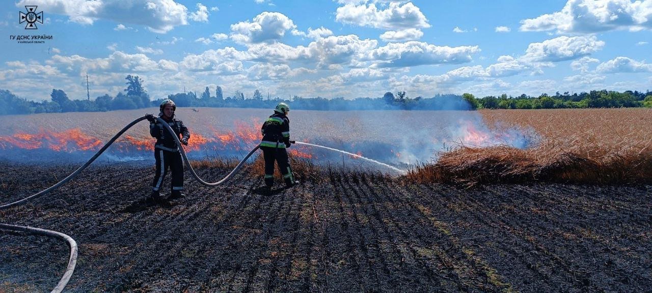 У Білій Церкві горіло поле з пшеницею